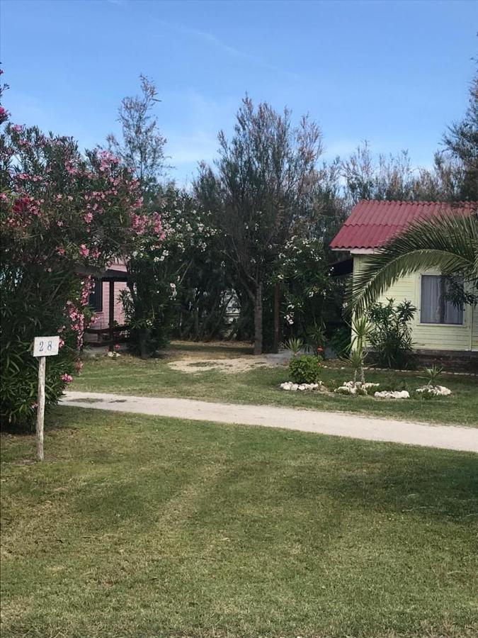 Maronda Camping Marina Di Montenero Exteriör bild