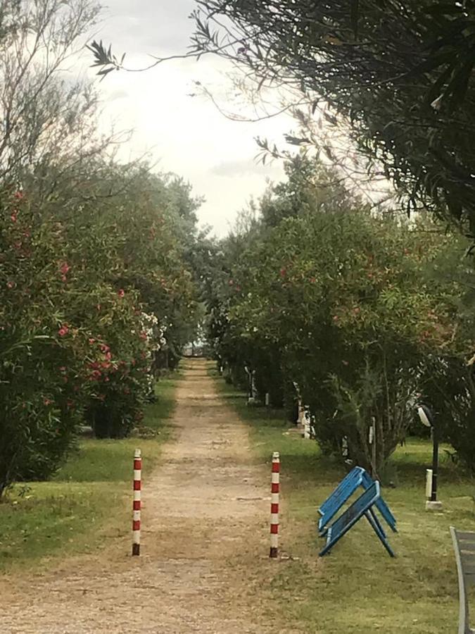 Maronda Camping Marina Di Montenero Exteriör bild
