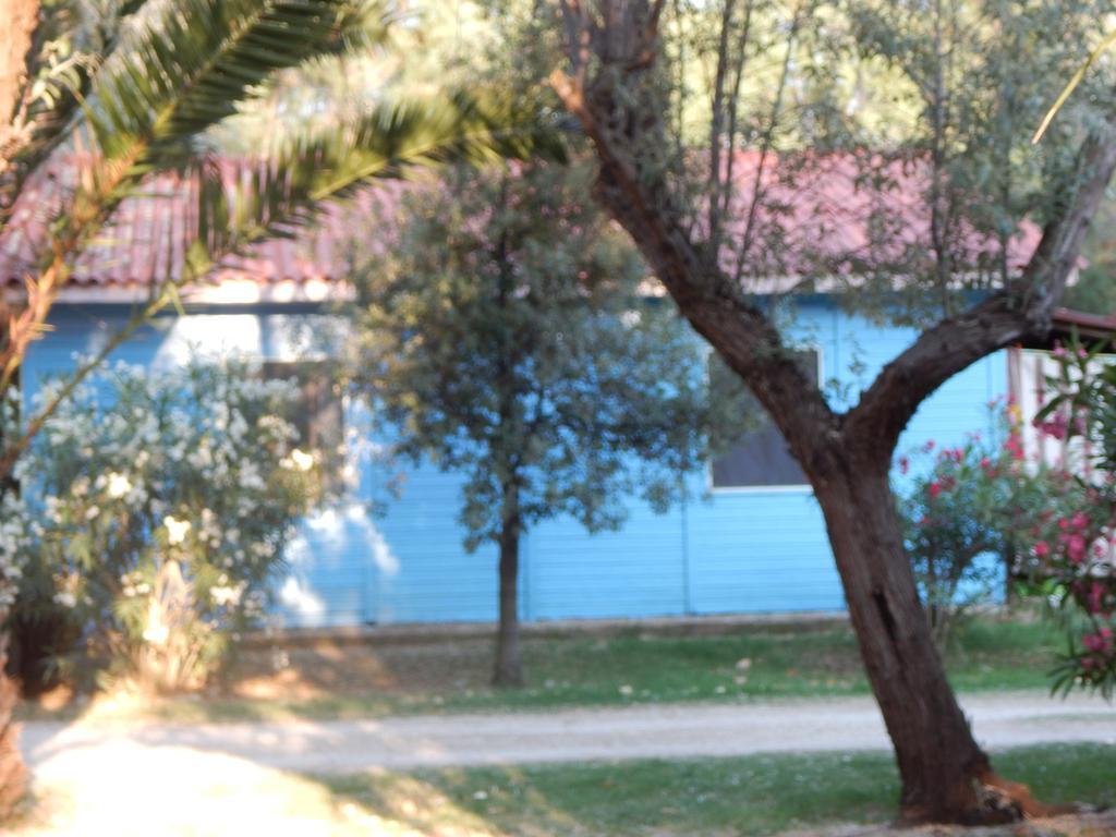 Maronda Camping Marina Di Montenero Exteriör bild